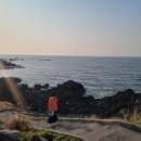 제주한달살기 : 5주차