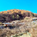 원주굽이길 16코스 황둔쌀찐빵길 이미지