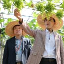 김진태 농가 이미지