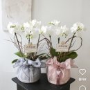 해송가든 | [Wedding] 상견례 준비 | 상견례선물, 가온떡공방+ 레미가든 해송 (부모님선물추천,내돈내산,동탄상견례)