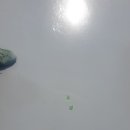 ITS인증 성능평가센터 이미지