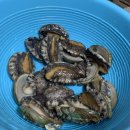 완도미성전복 이미지