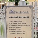 브룩스캣슬 | [내돈내산] 부산 고양이카페 브룩스캣슬 후기 | 고양이 보고 힐링할 수 있는 곳