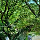 거문중초도분교장 이미지