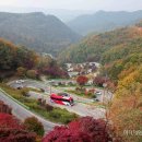 속리산 말티재 단풍 이미지