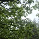 260503 경북 안동 부용대 &amp; 화천서원 이미지
