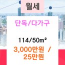 사림동114 이미지