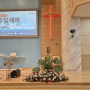 꽃꽂이 Daum카페