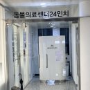 달래동물의료센터 | 24시 영등포 동물병원 동물의료센터 24인치 고양이 검진 방문후기