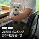 대도농장 | 공주 애견동반식당 실내 룸 있는 ‘마실’ 내돈내산 VIP 대접 받은 후기
