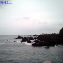 제주월드컵경기장내 이미지