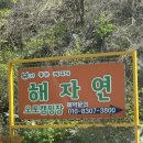 60 | 25개월 아기랑 첫 캠핑🏕️ 서울 근교 남양주 해자연 캠핑장 솔직 후기