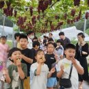 청성초교 이미지