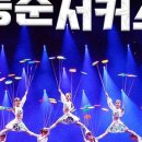 동춘서커스 이미지