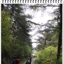 바래봉길 이미지