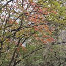 북일기사 이미지