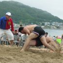 장사해수욕장(솔밭) 이미지