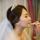 브라이덜베가 이미지