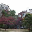 가톨릭대학교 Daum카페