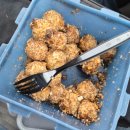 천지농장2 | 🧑🏻‍🌾 카타르 일기 13 : North Sedra Farm Ι 카타르 농장 체험 🧑🏻‍🌾