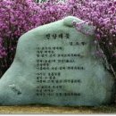봄비애