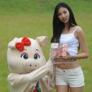 현대고기백화점 이미지