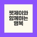 반려동물 분양 1위 펫제이와 셀럽의 선택은?