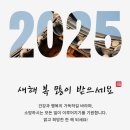 단아한프룻 이미지