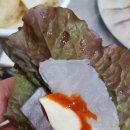 원조포항물횟집 이미지