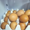 우리계란마트 이미지