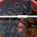 장승포유람선터미널 이미지