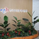 한국부동산중개인사무소 이미지