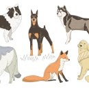 정평동물병원 이미지