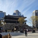 솔빛도서관 | 단풍현황, 대중교통으로 가는 방법 (남대문시장~백범광장~남산도서관~남산하늘숲길~서울타워)_25.11.15