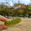 GS25 성수포레점 이미지