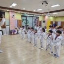 올바른i태권도 이미지