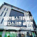 버디스크린골프방 | 평택 장안동스크린골프 버디스크린 골프존 후기(투비전NX)