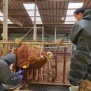 무안곤충농장 이미지