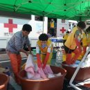 사랑세탁 이미지