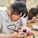 만덕초등학교 이미지