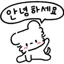 세렝(serein) 이미지