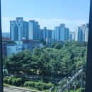 예스비디오 | 불꽃야구 3차 직관을 못가는 아쉬움을 담은 2차 직관 후기(feat. 불꽃야구 굿즈 팝업, 4층 416구역)