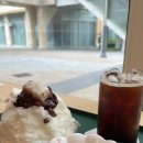 판교 팥빙수 맛집 ‘고고스판교’ 카페 추천