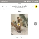 키스더도그/아르테미스 네이버블로그