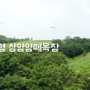횡계2리 | [BHC Note] 여름철 휴가지 추천 "강원도 대관령 삼양목장"