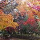 금강공원 이미지