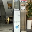 소루 | [교대 맛집] 고즈넉한 분위기의 이자카야 “소루“ 내돈내산 후기