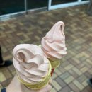불막열삼화명점 | 화명동 맛집 불막열삼 : 초벌 된 막창과 껍데기가 편리하고 맛있는 고깃집, 매콤한 불막창 추천