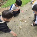 이야기나라주 Daum카페