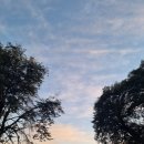 까치소 산장 옆 | 세계일주 356일차 바릴로체(Lopez 산장 트레킹 / 파타고니아 양조장)